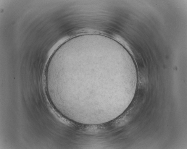 X0000073721098200608311813