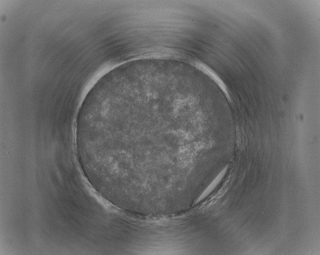 X0000073721099200608311813