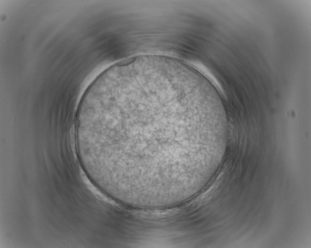 X0000073721100200608311813