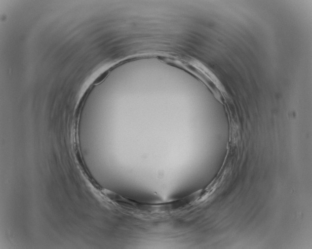 X0000073721101200608311813