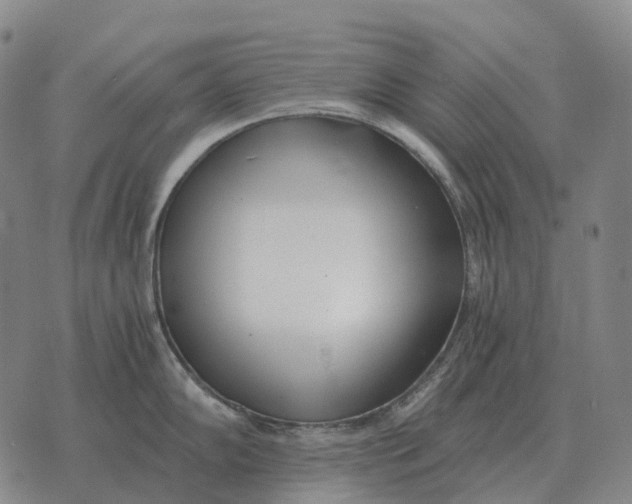 X0000073721102200608311813