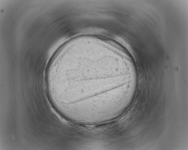 X0000073721103200608311813