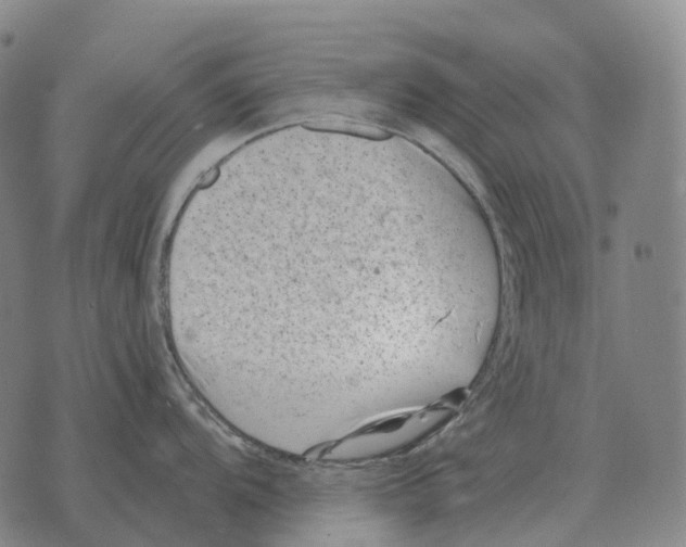 X0000073721104200608311813