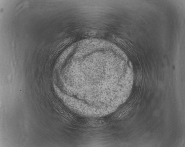 X0000073721105200608311812