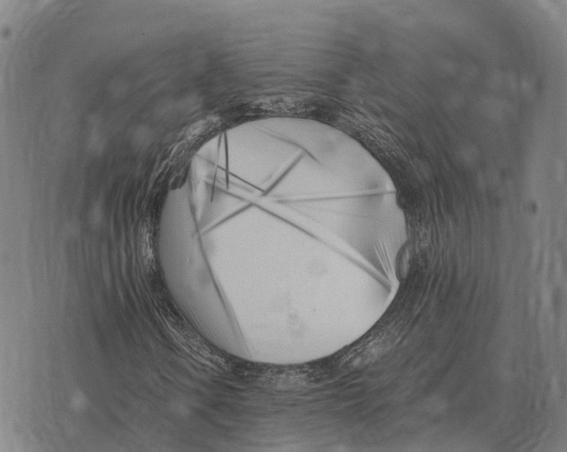 X0000073721106200608311812