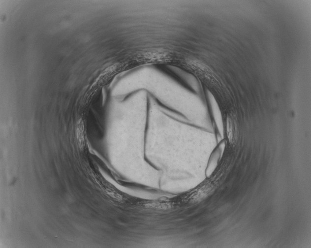 X0000073721107200608311812