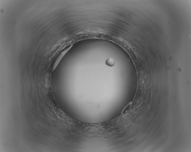 X0000073721110200608311812