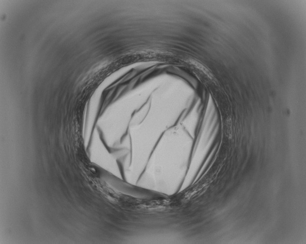 X0000073721111200608311812