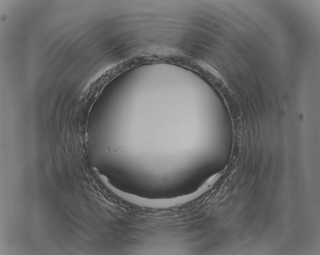 X0000073721112200608311812