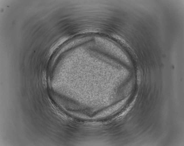 X0000073721113200608311813