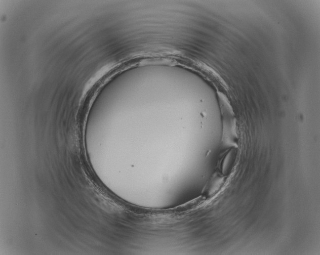 X0000073721114200608311813