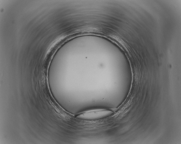 X0000073721115200608311813