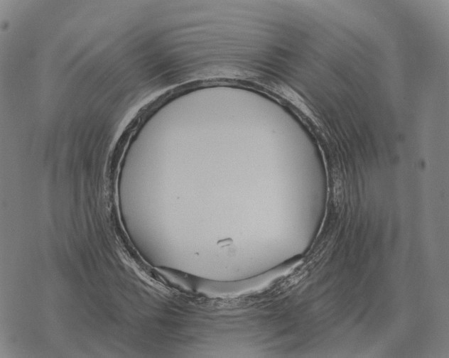 X0000073721116200608311813