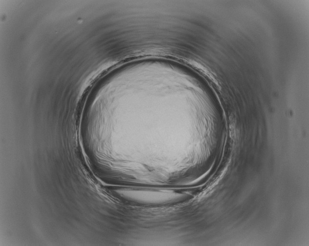 X0000073721117200608311813