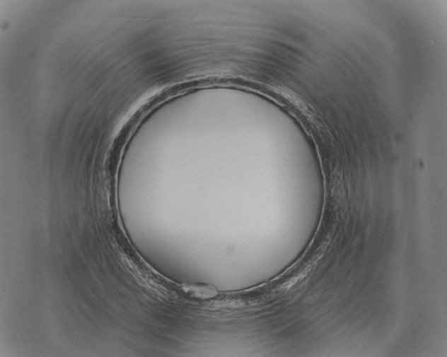 X0000073721118200608311813