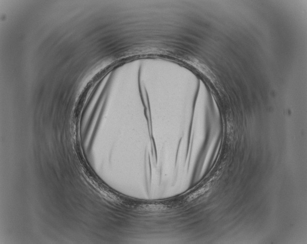 X0000073721119200608311813