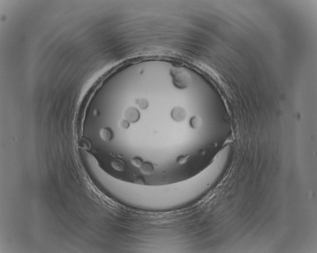 X0000073721120200608311813