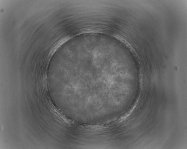 X0000073721121200608311813