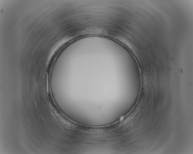 X0000073721123200608311813