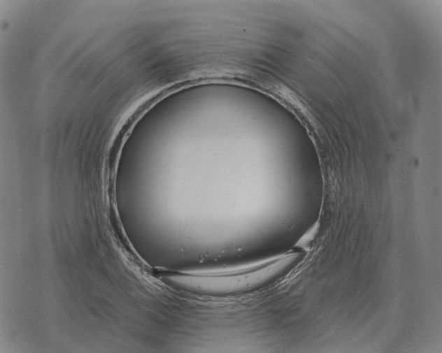 X0000073721124200608311813