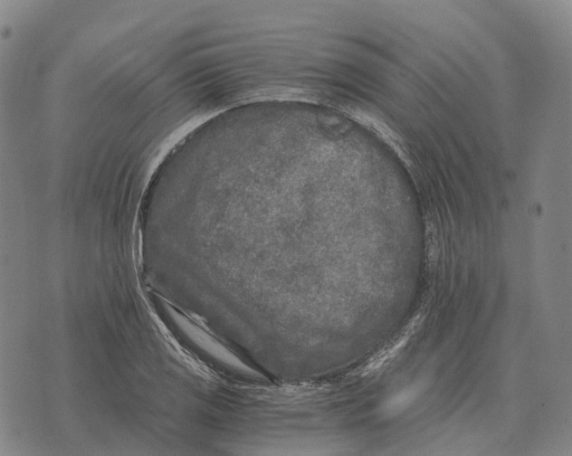 X0000073721125200608311813