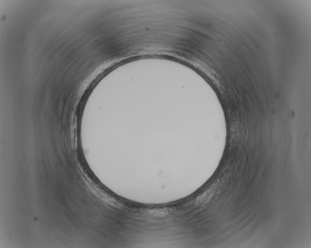 X0000073721126200608311813