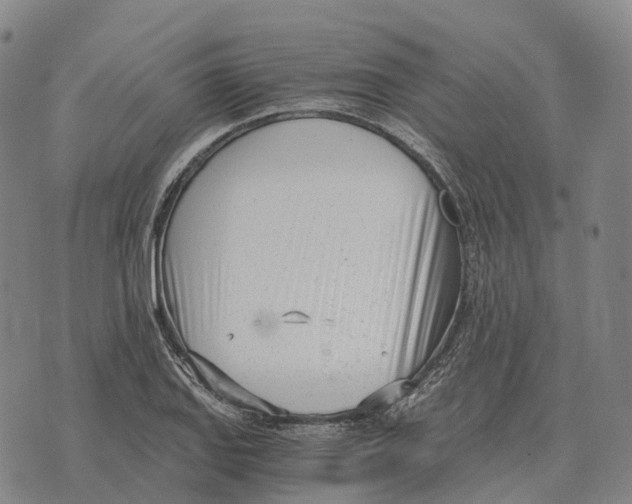 X0000073721127200608311813