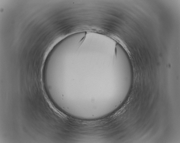 X0000073721128200608311813