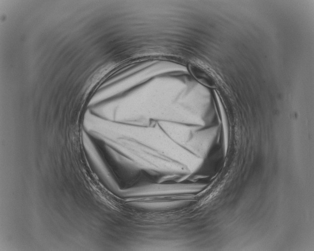 X0000073721129200608311813