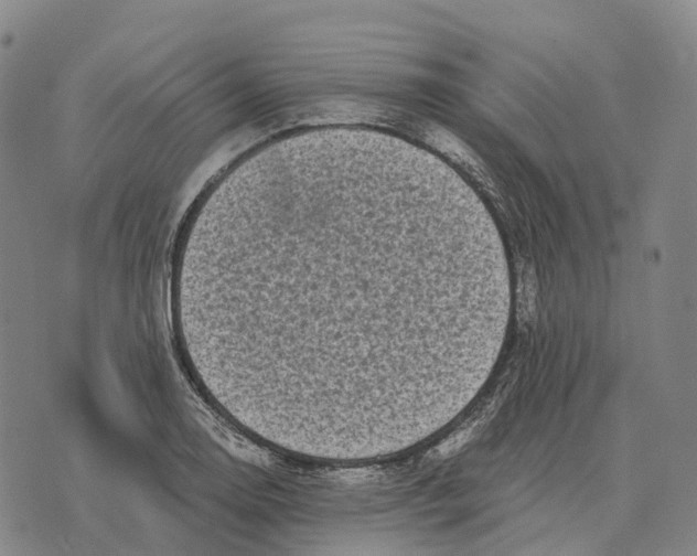 X0000073721130200608311813