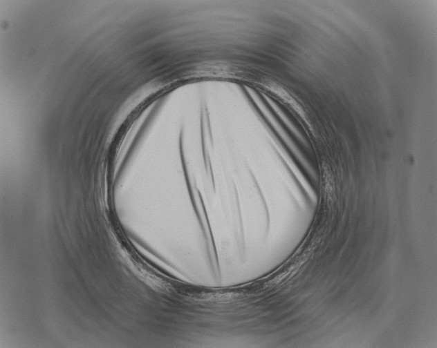 X0000073721131200608311813