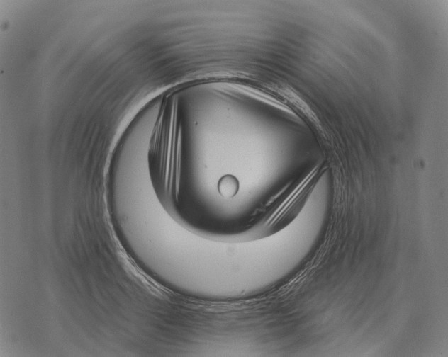 X0000073721132200608311813