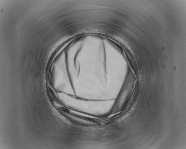 X0000073721133200608311813