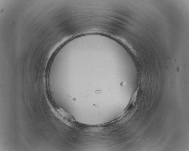 X0000073721134200608311813