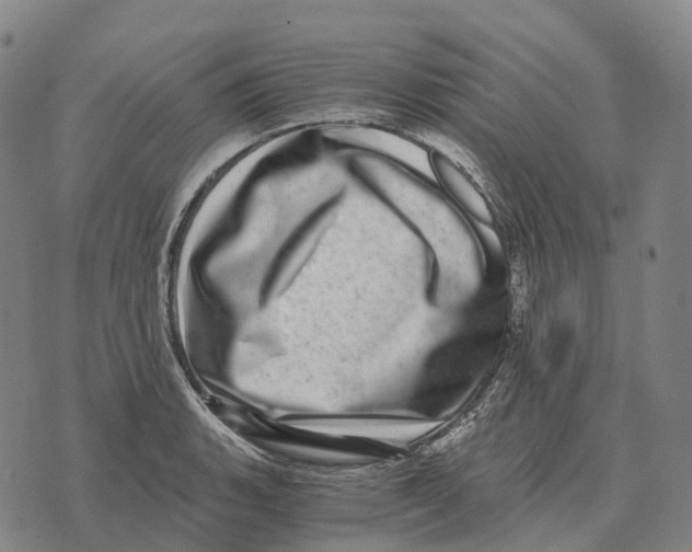 X0000073721135200608311813