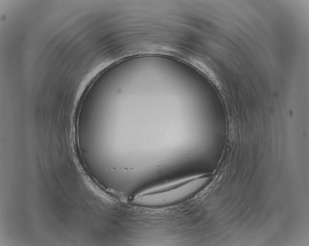 X0000073721136200608311813