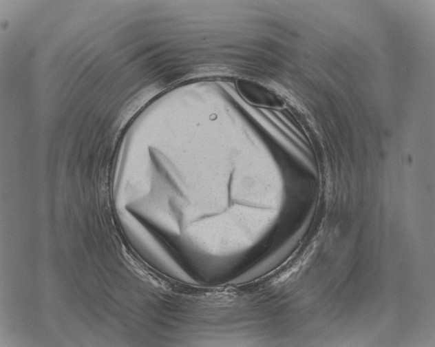 X0000073721137200608311813