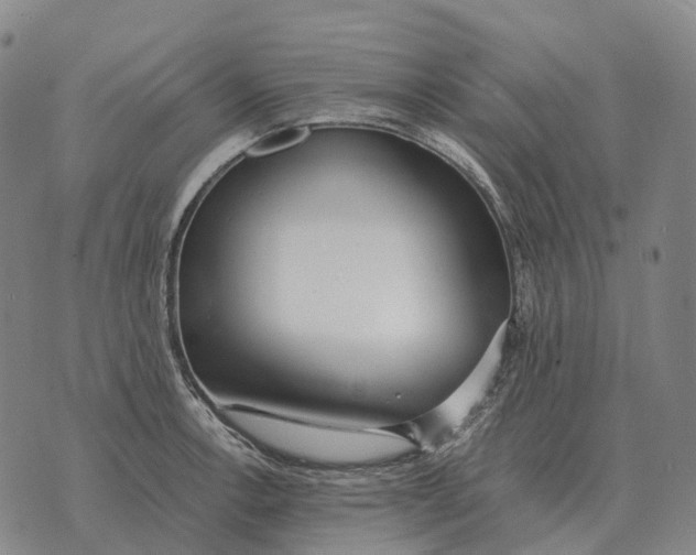 X0000073721138200608311813