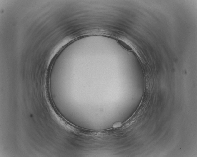 X0000073721139200608311813