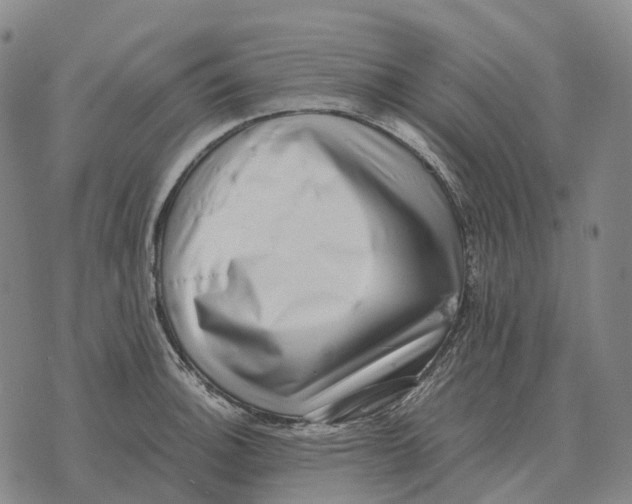 X0000073721140200608311813