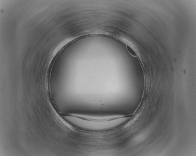 X0000073721141200608311813