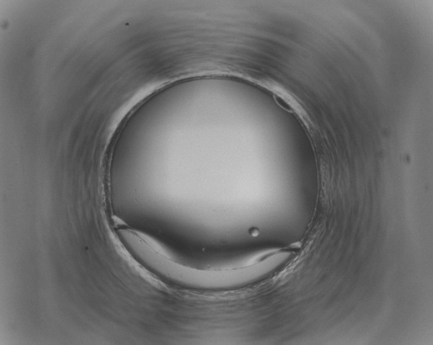 X0000073721142200608311813