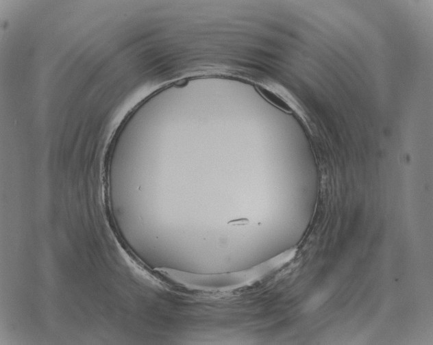 X0000073721143200608311813