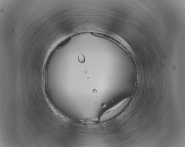 X0000073721144200608311813