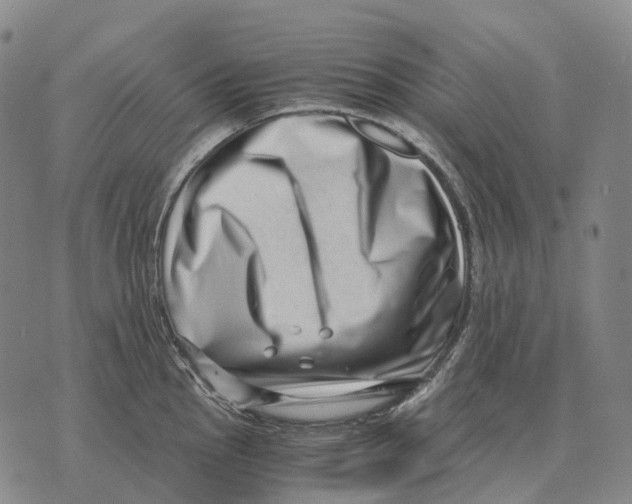 X0000073721145200608311813