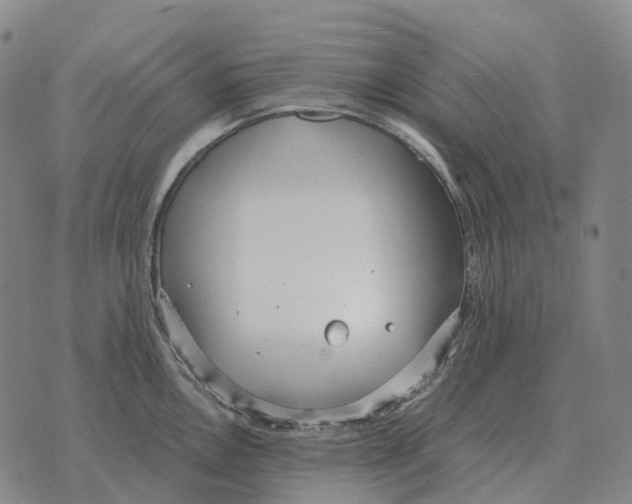 X0000073721146200608311813