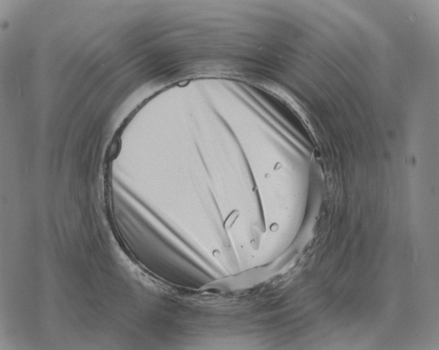 X0000073721147200608311813