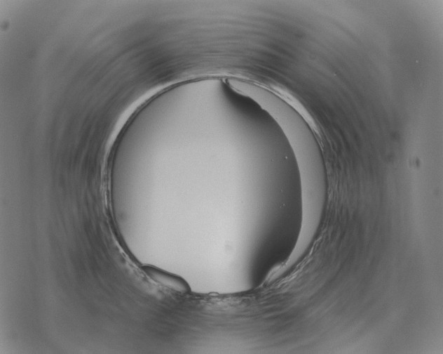 X0000073721148200608311813