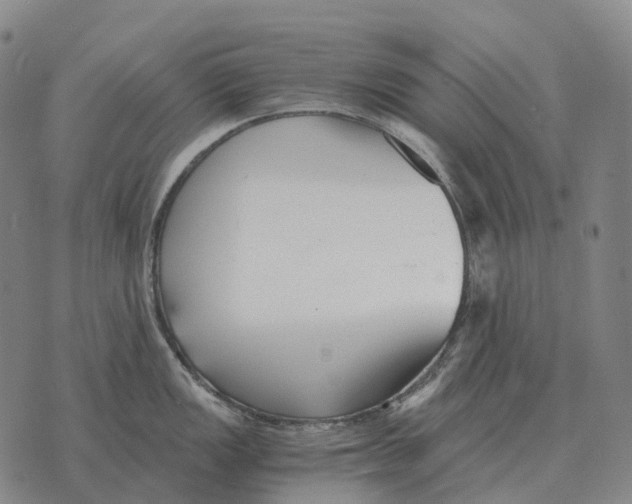 X0000073721149200608311813