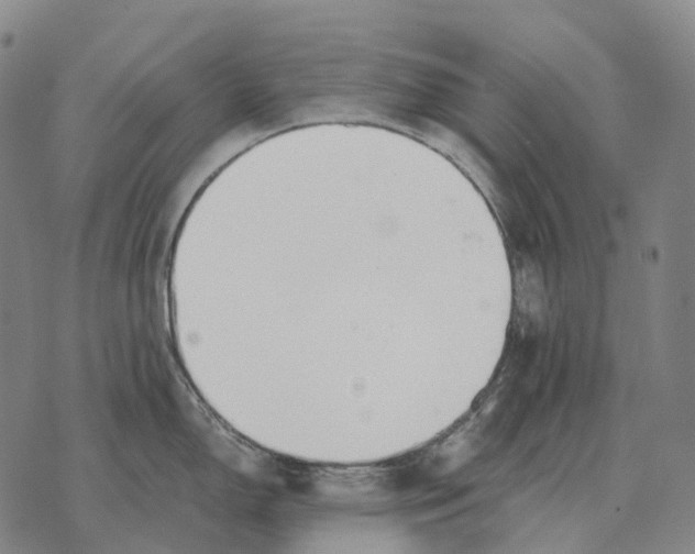 X0000073721150200608311813